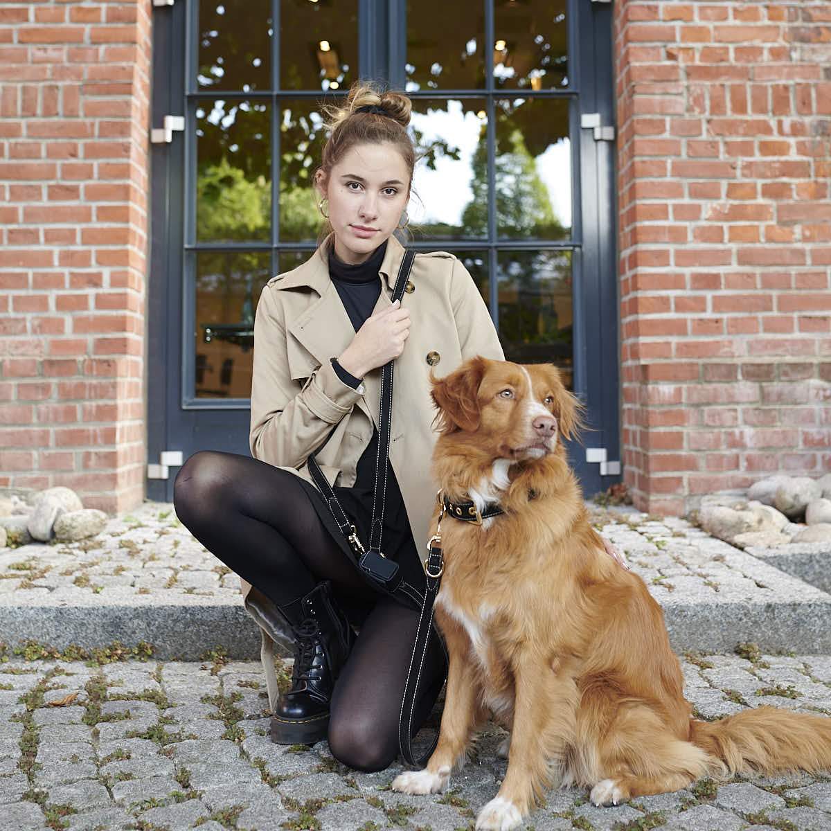 William Walker Halsband und Leine Royal Black. Image mit braunem Hund und Model | VintPets