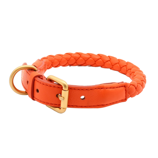 Hundehalsband Ferdinando in Tangerine Orange Gr. ML_2.8 design for dogs | VintPets