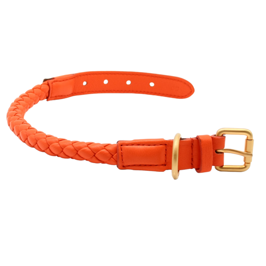 Hundehalsband Ferdinando in Tangerine Orange Gr. L_2.8 design for dogs_Detail Schnalle | VintPets