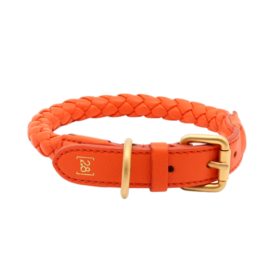 Hundehalsband Ferdinand in Tangerine Orange Gr. ML_2.8 design for dogs_vorne | VintPets