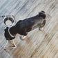 MiaCara Futterstation Cena in grau Imagebild mit schwarzem Hund