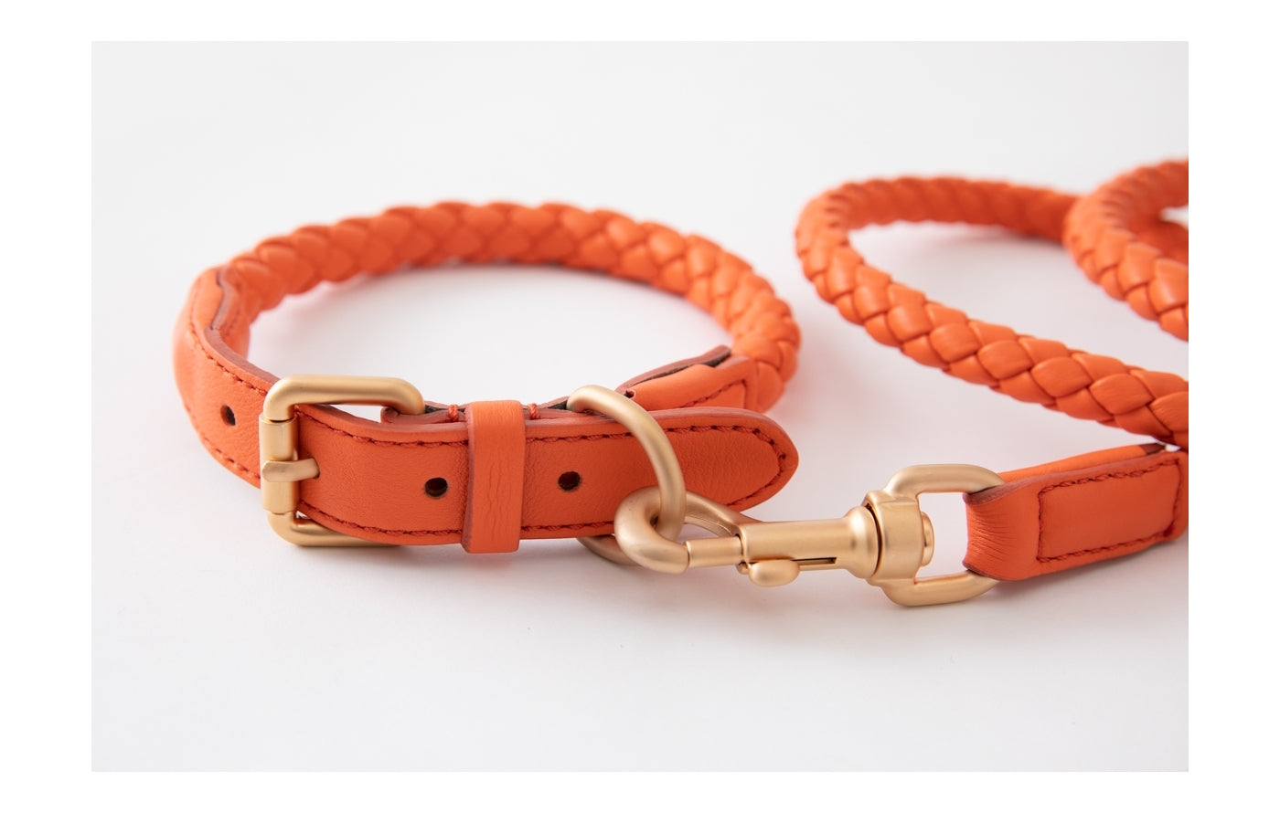 Hundeleine Ferdinando in Tangerine Orange_2.8 design for dogs_Image Leine und Halsband | VintPets